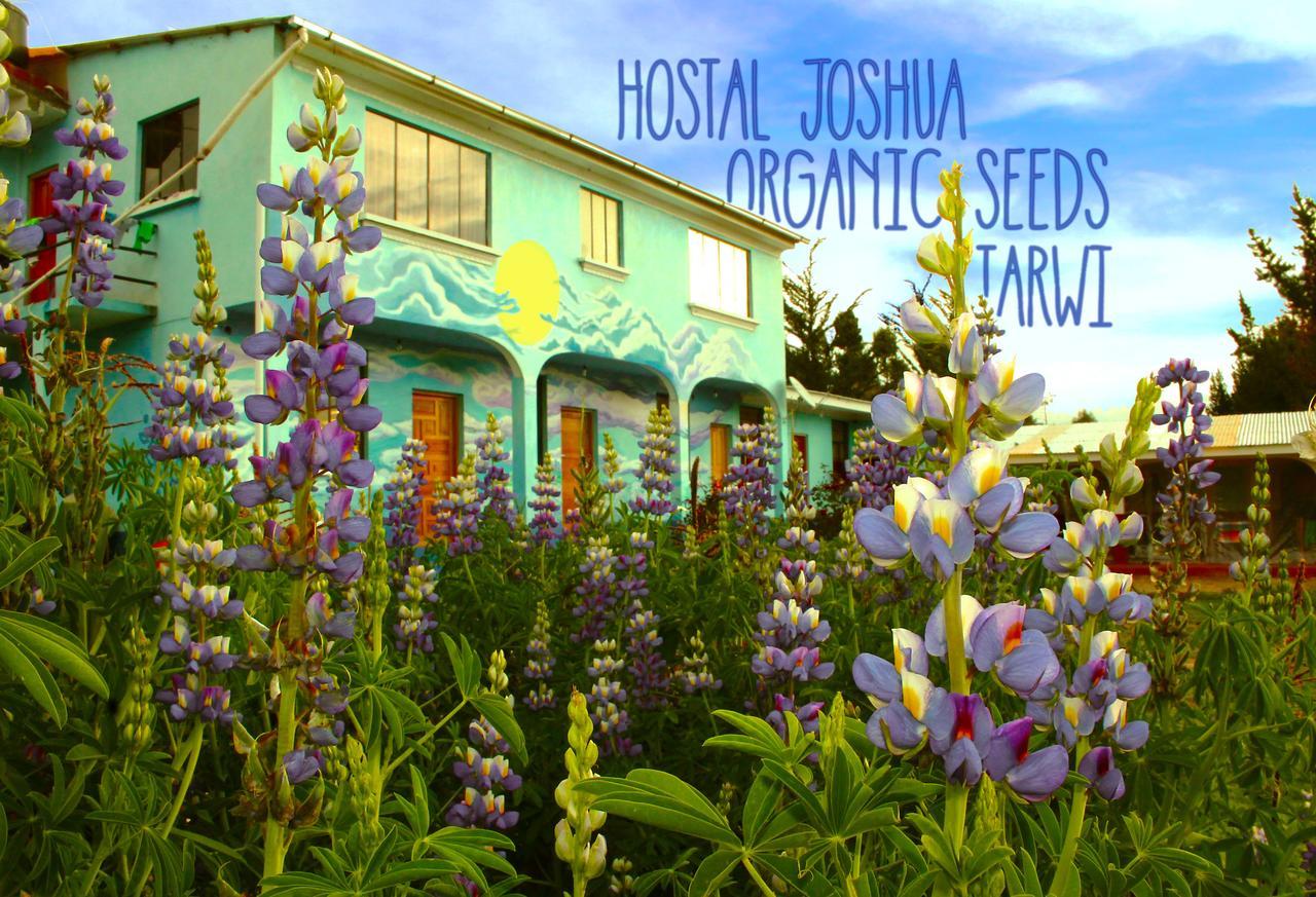 Hostal Joshua Копакабана Экстерьер фото